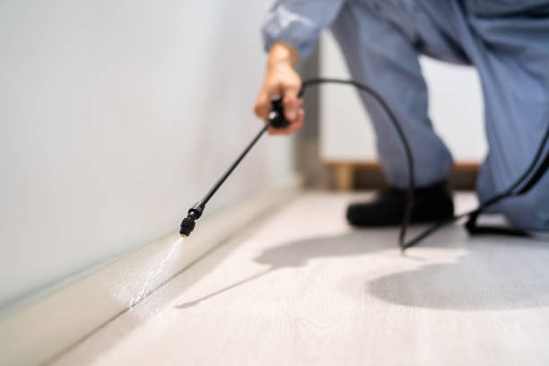 Licensed Rodent Control service in Mill Valley, CA - Nex Pest Control