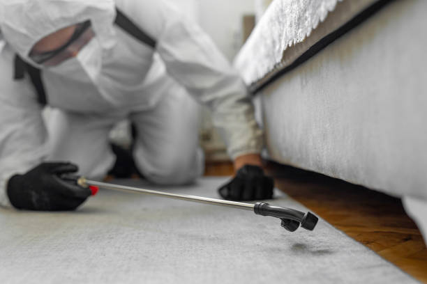 Professional Rodent Control technician working in Mill Valley, CA