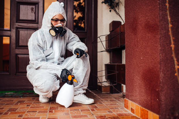 Reliable Rodent Control contractor in Mill Valley, CA by Nex Pest Control